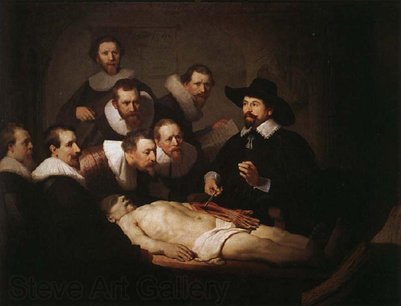 Rembrandt van rijn The Anatomy Lesson of Dr.Nicolaes Tulp Spain oil painting art